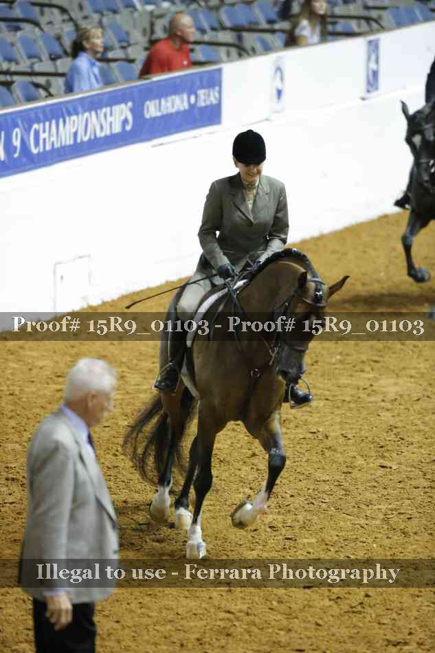 Proof Number 15R9_01103