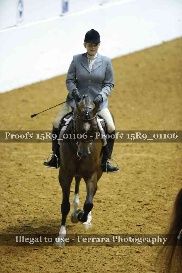 Proof Number 15R9_01106