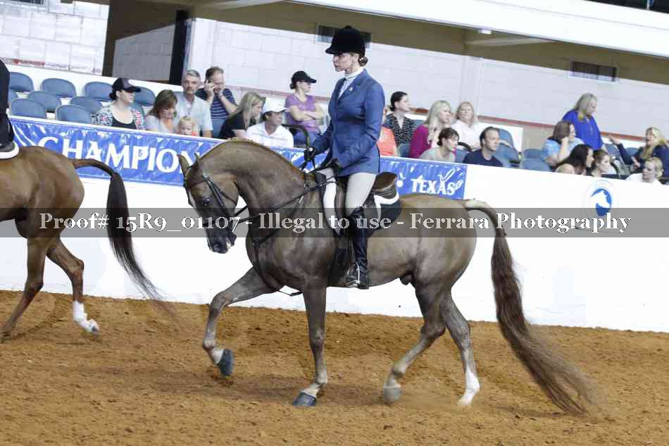 Proof Number 15R9_01107