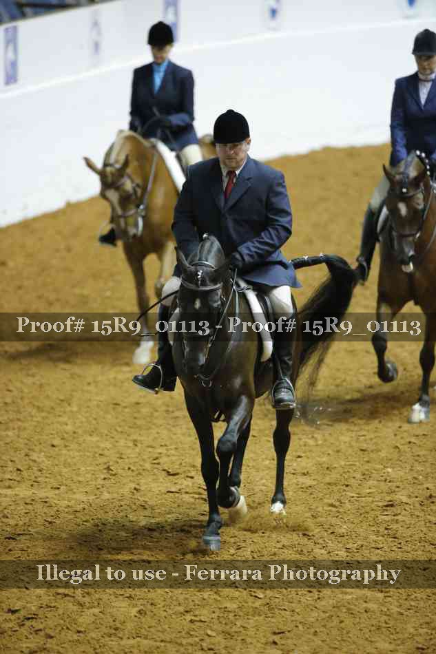 Proof Number 15R9_01113