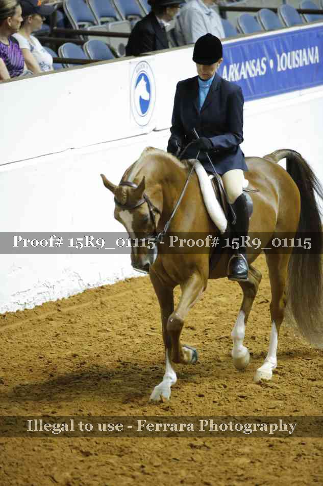 Proof Number 15R9_01115