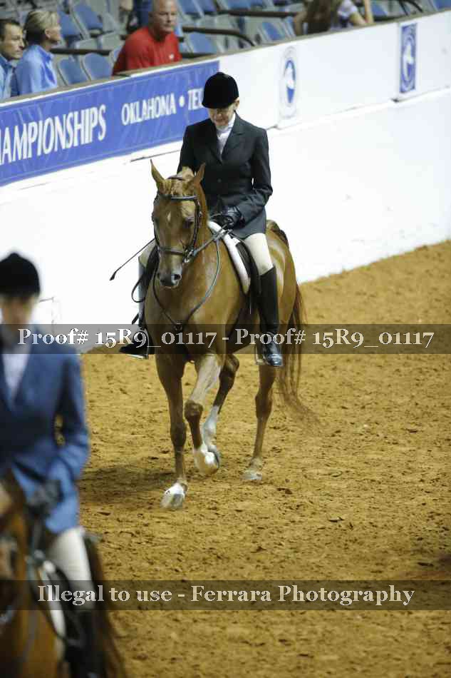 Proof Number 15R9_01117