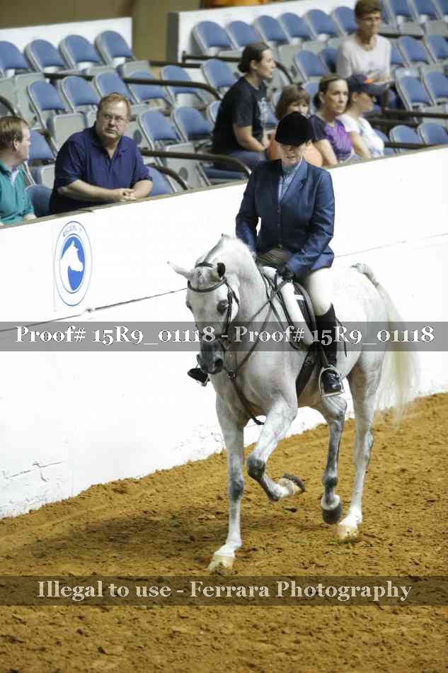Proof Number 15R9_01118