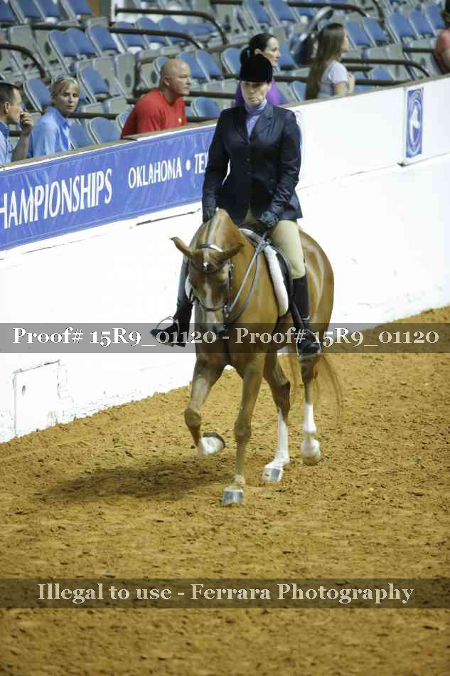 Proof Number 15R9_01120