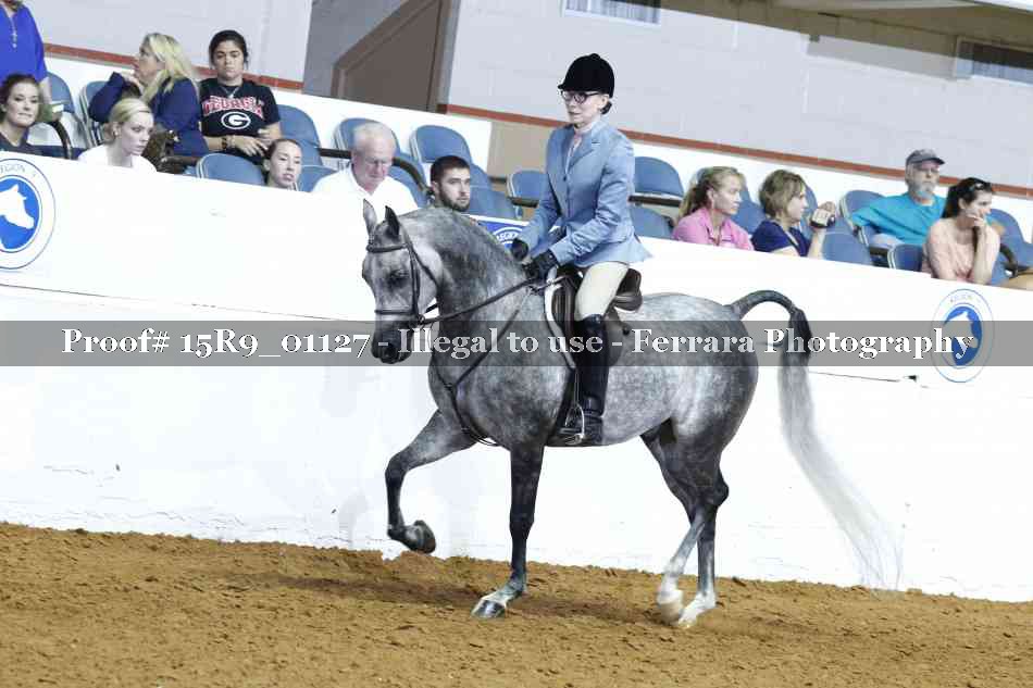 Proof Number 15R9_01127