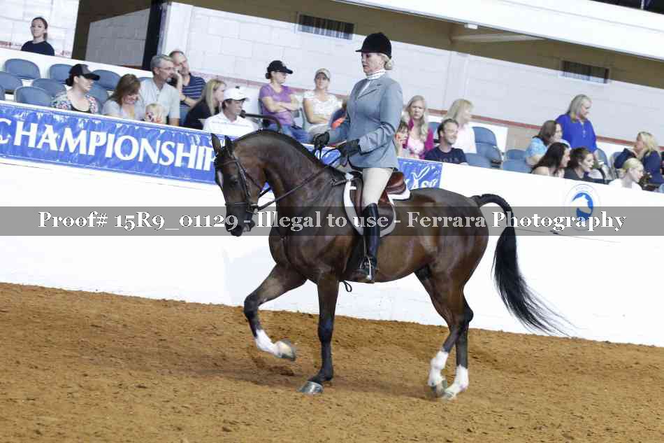 Proof Number 15R9_01129
