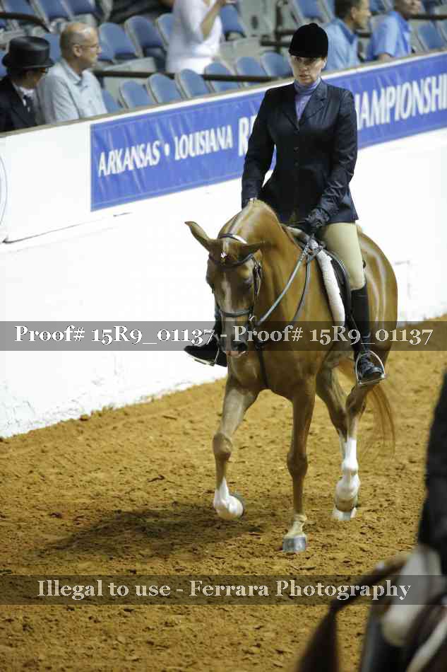 Proof Number 15R9_01137