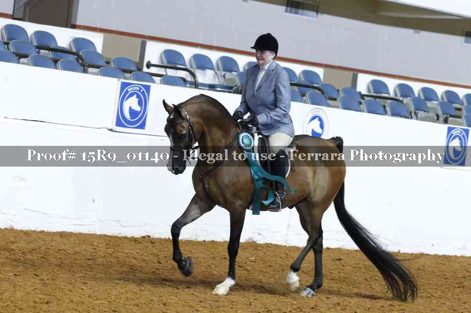 Proof Number 15R9_01140
