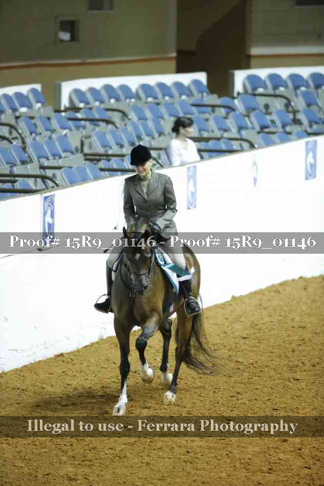 Proof Number 15R9_01146