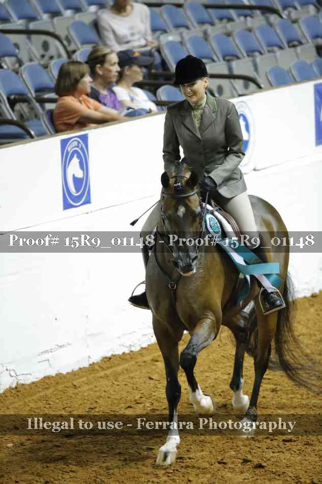Proof Number 15R9_01148