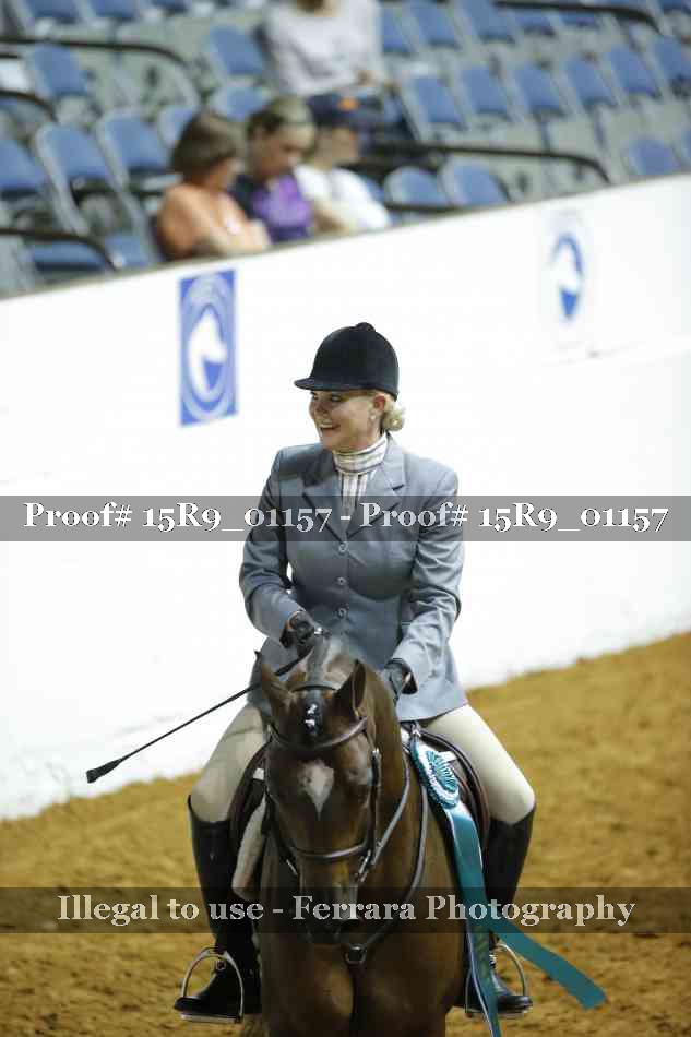 Proof Number 15R9_01157