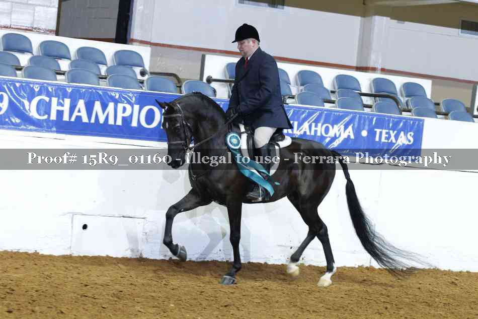 Proof Number 15R9_01160