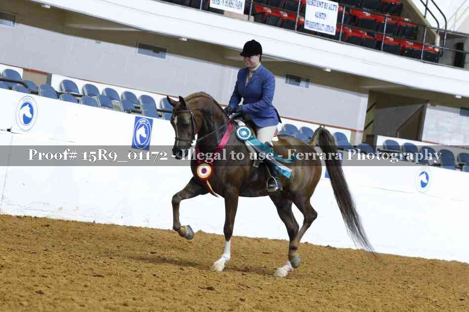 Proof Number 15R9_01172
