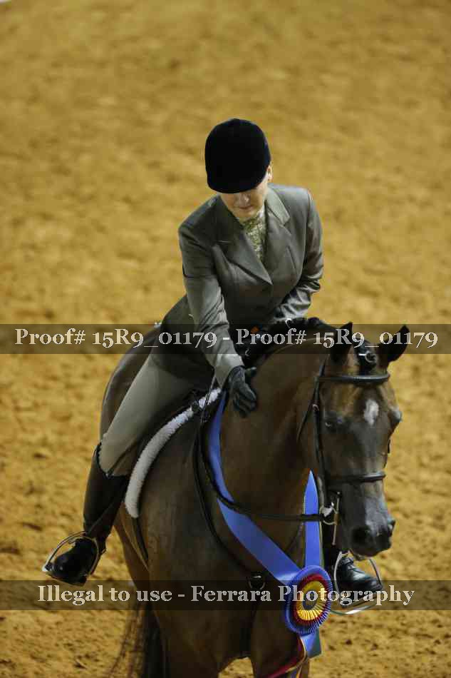 Proof Number 15R9_01179