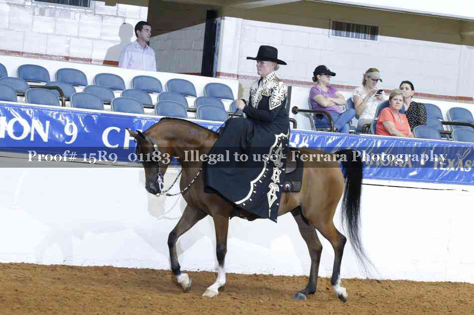 Proof Number 15R9_01183