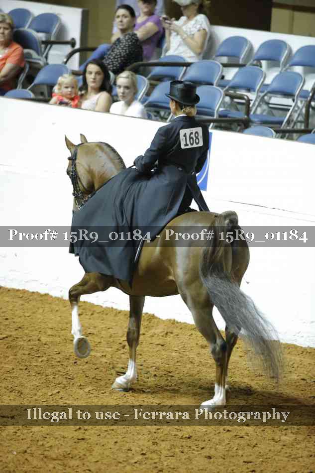Proof Number 15R9_01184