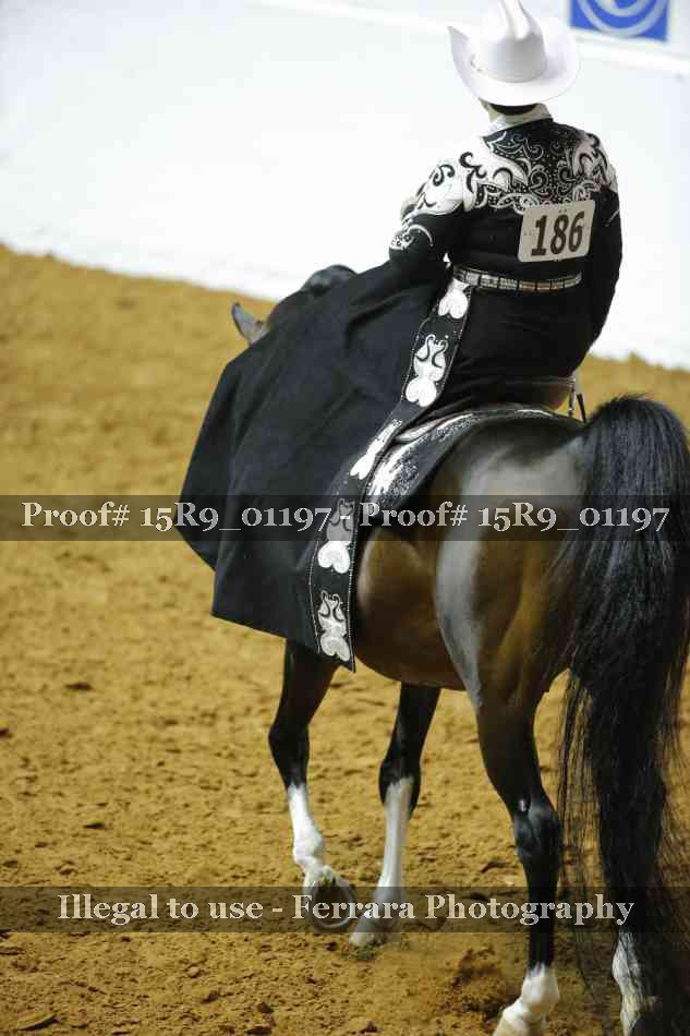 Proof Number 15R9_01197