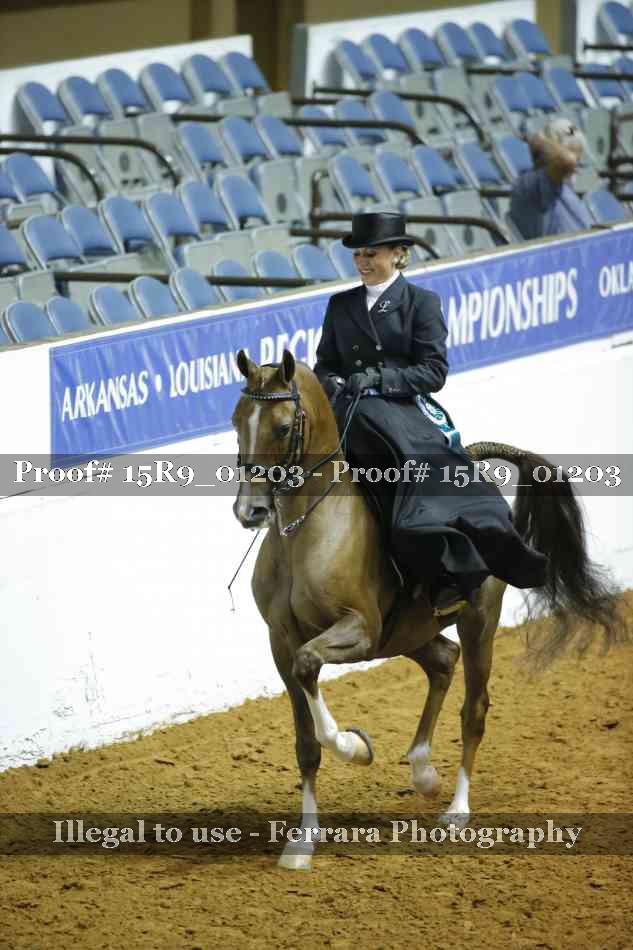 Proof Number 15R9_01203