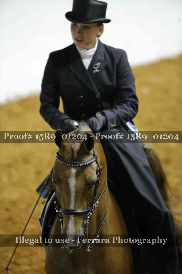 Proof Number 15R9_01204