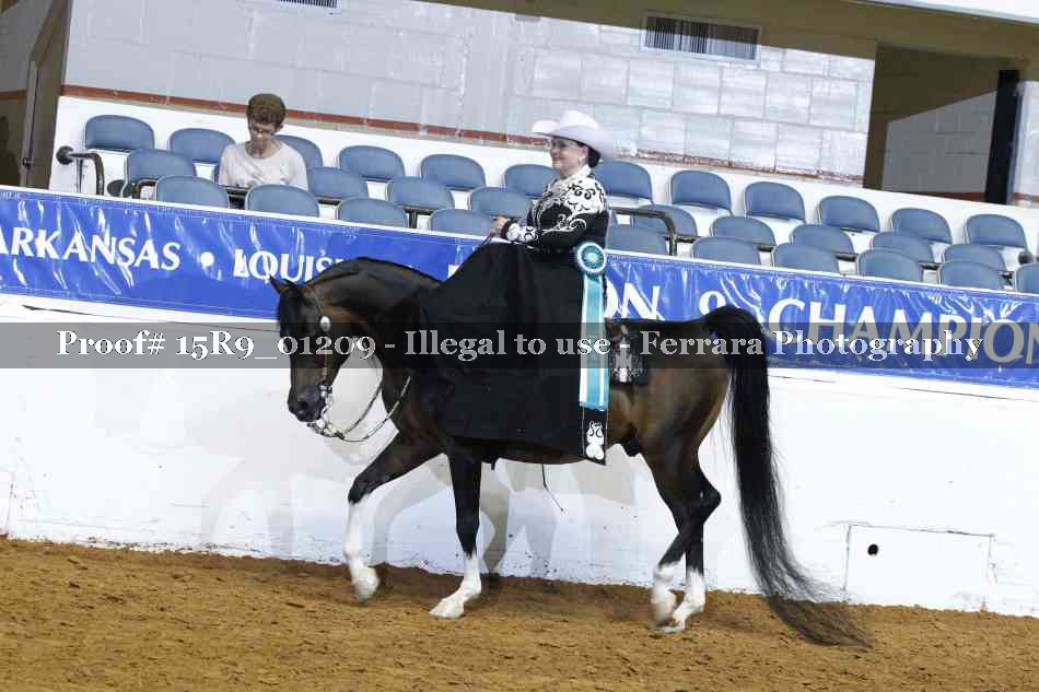 Proof Number 15R9_01209