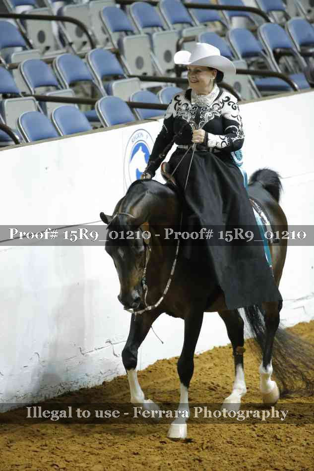 Proof Number 15R9_01210