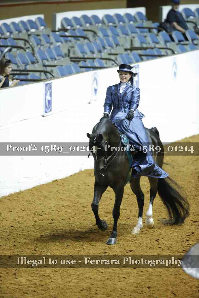 Proof Number 15R9_01214