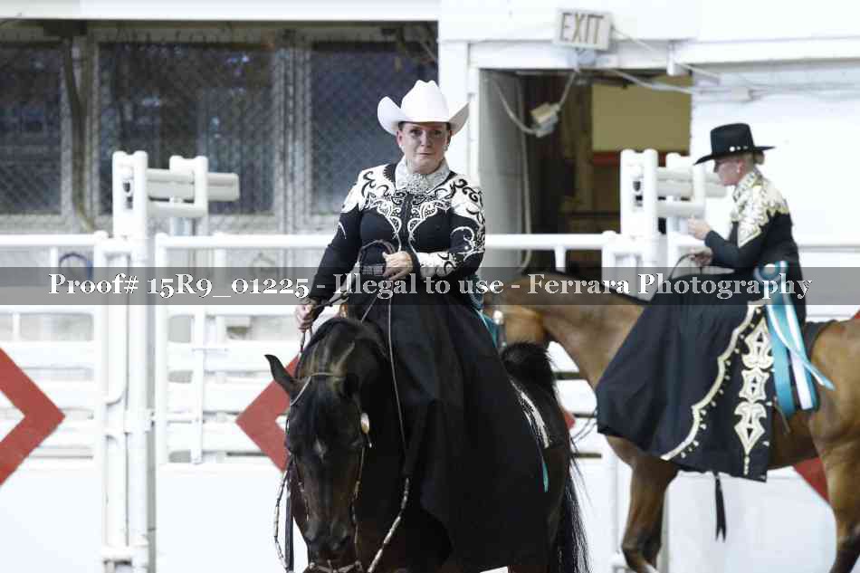 Proof Number 15R9_01225
