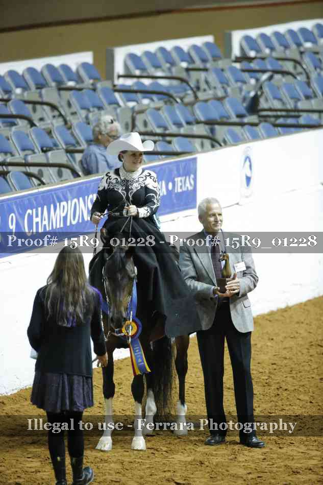 Proof Number 15R9_01228