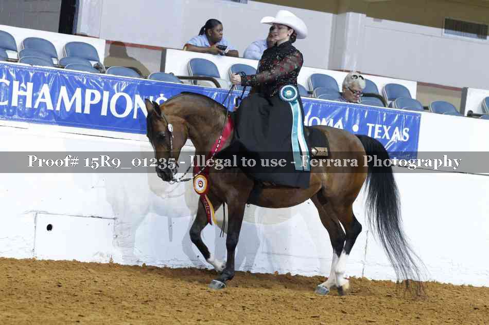 Proof Number 15R9_01235