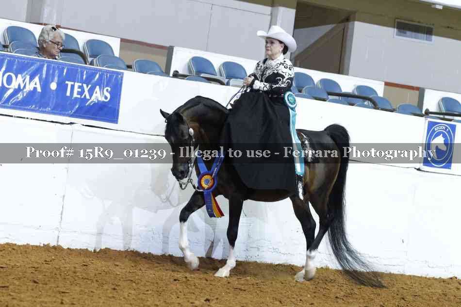 Proof Number 15R9_01239
