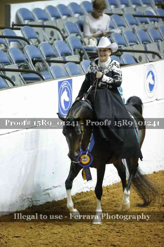 Proof Number 15R9_01241