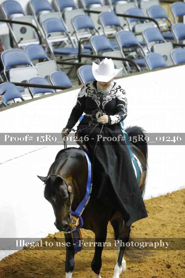 Proof Number 15R9_01246