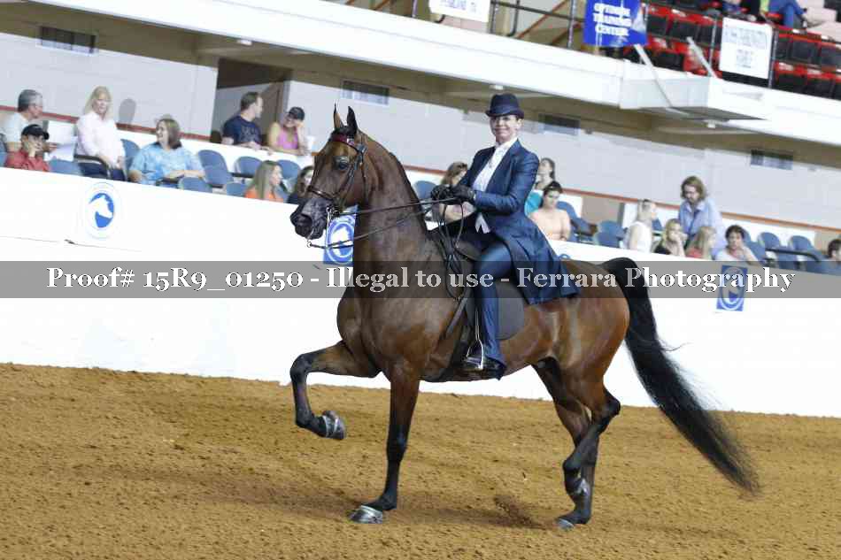 Proof Number 15R9_01250