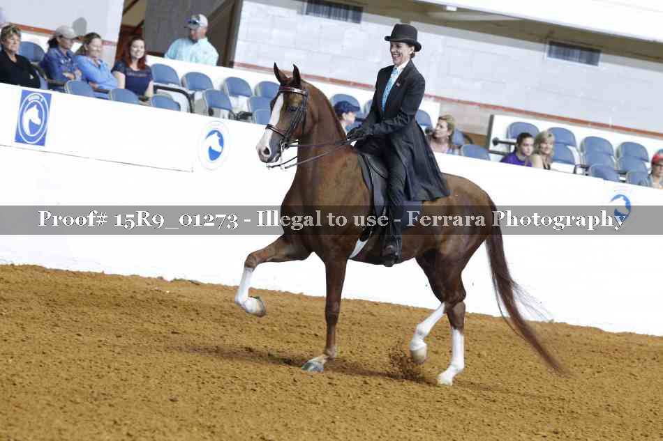 Proof Number 15R9_01273