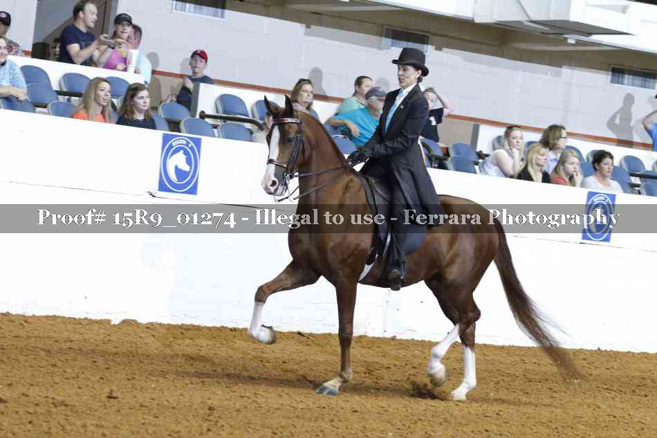 Proof Number 15R9_01274