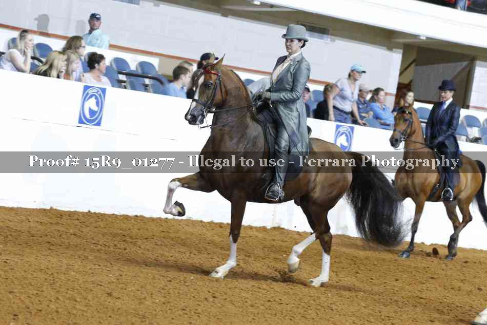 Proof Number 15R9_01277