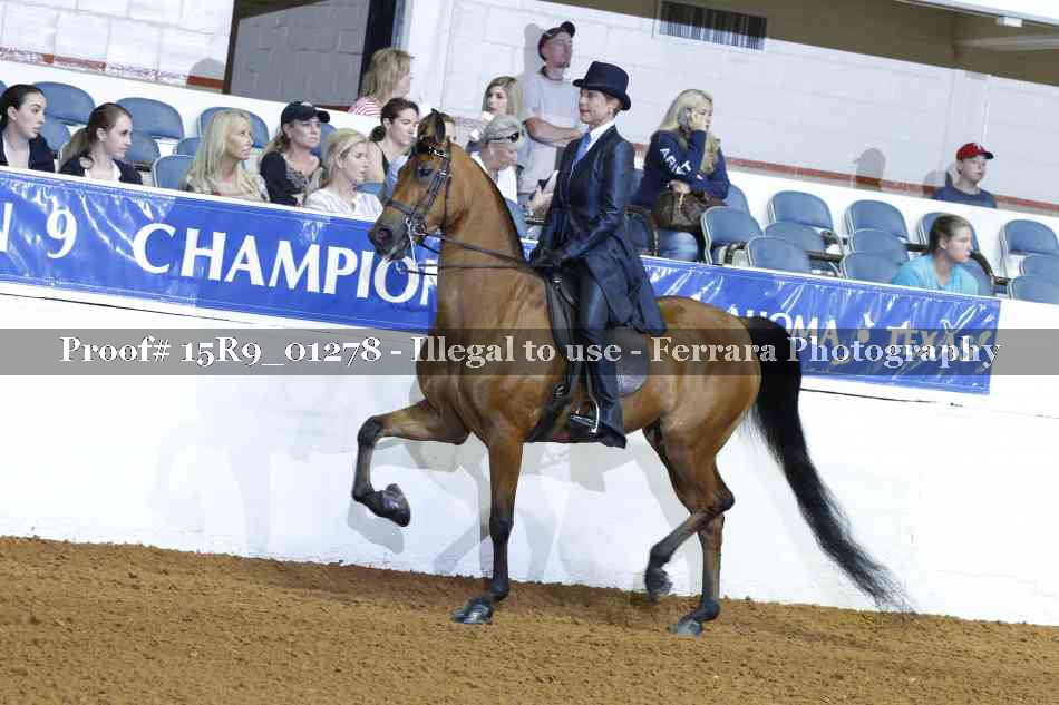 Proof Number 15R9_01278