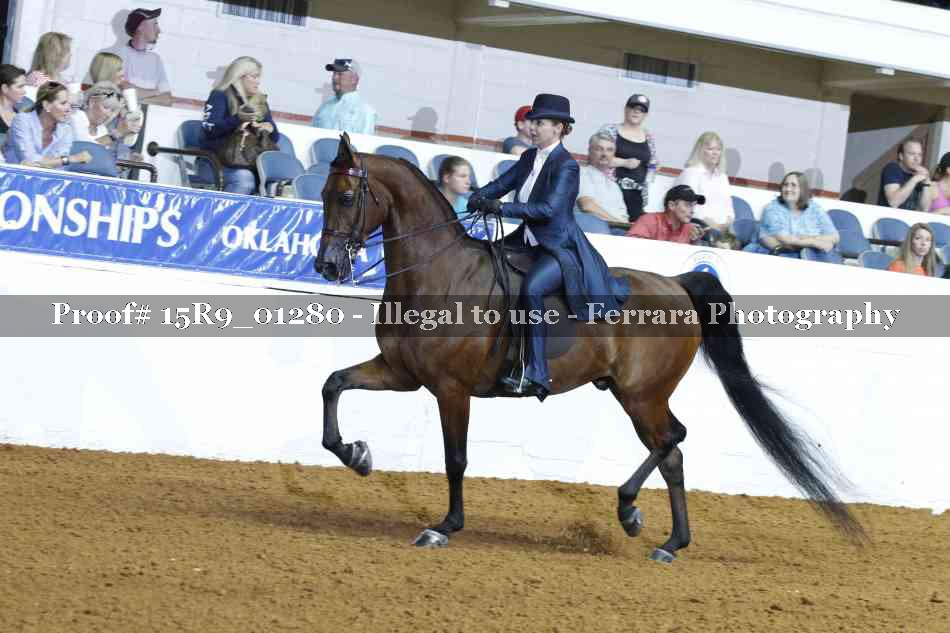 Proof Number 15R9_01280