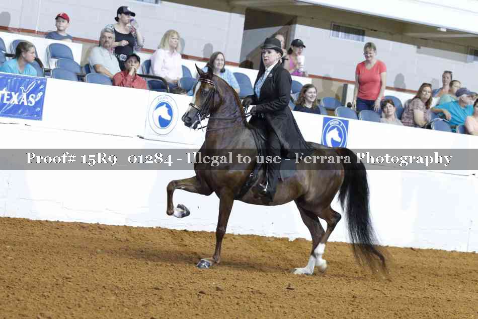 Proof Number 15R9_01284
