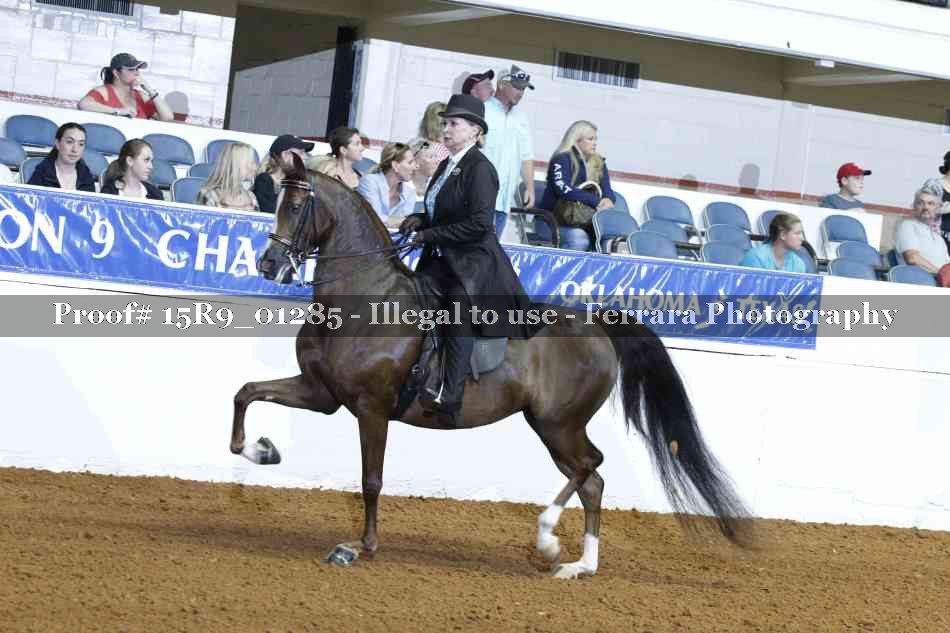 Proof Number 15R9_01285