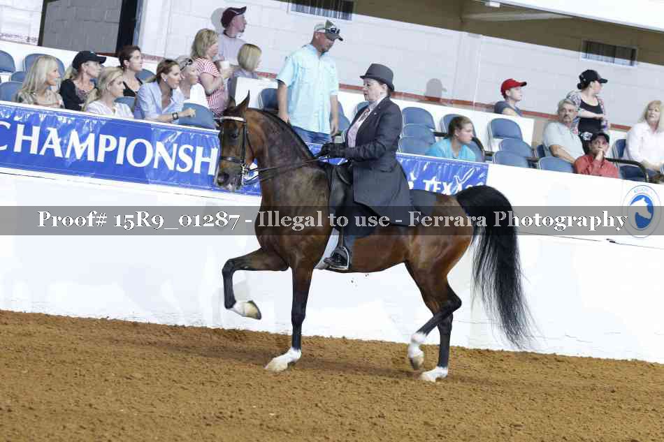 Proof Number 15R9_01287