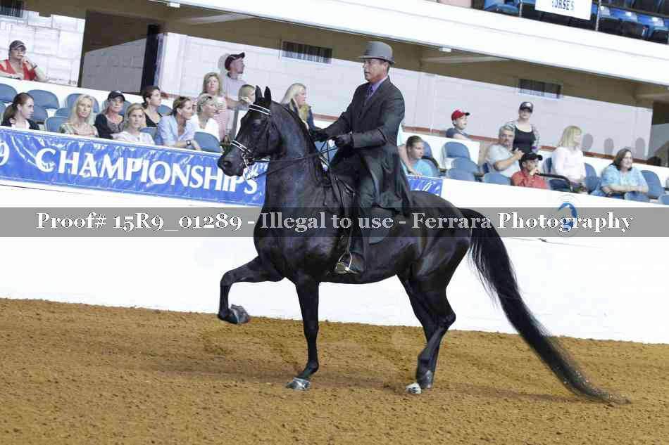 Proof Number 15R9_01289
