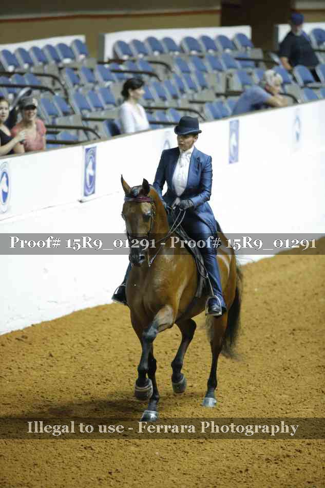 Proof Number 15R9_01291