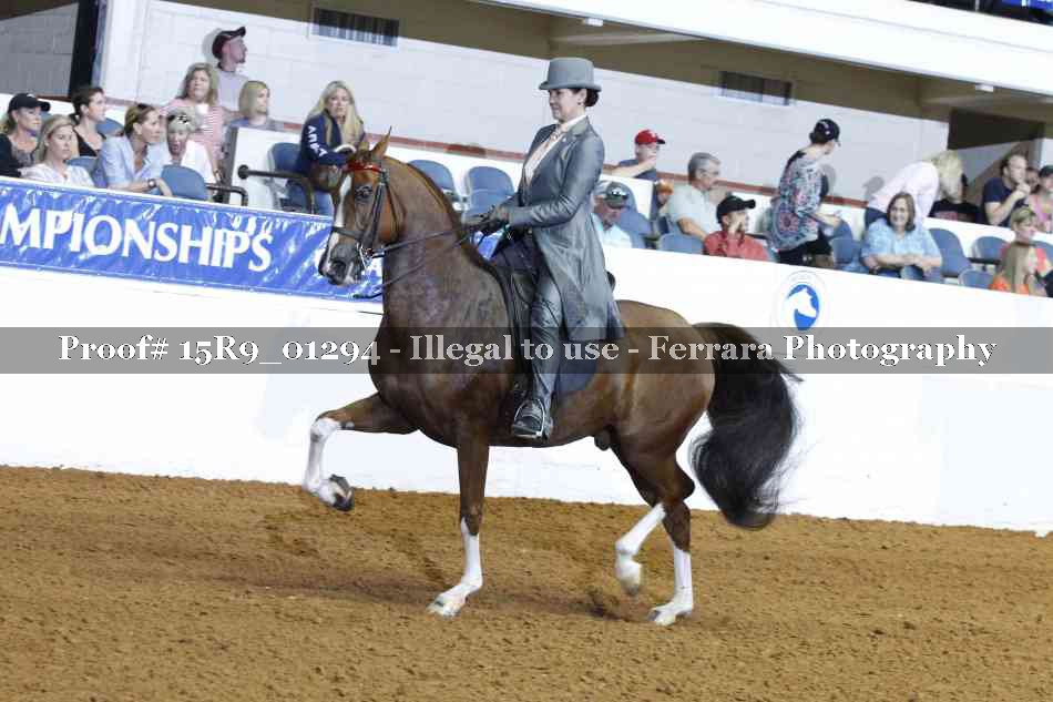 Proof Number 15R9_01294