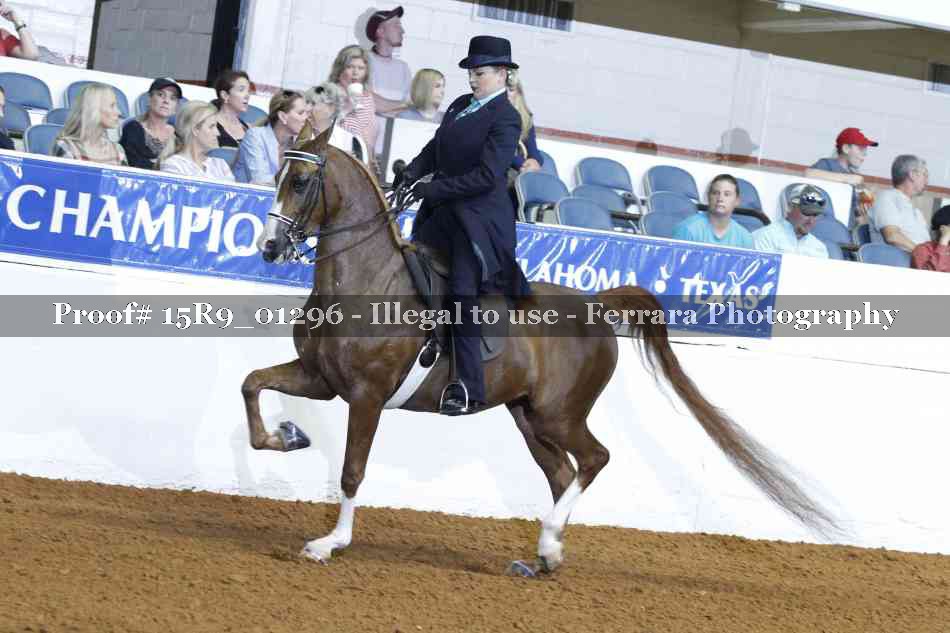 Proof Number 15R9_01296