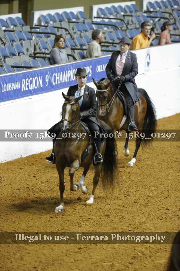 Proof Number 15R9_01297