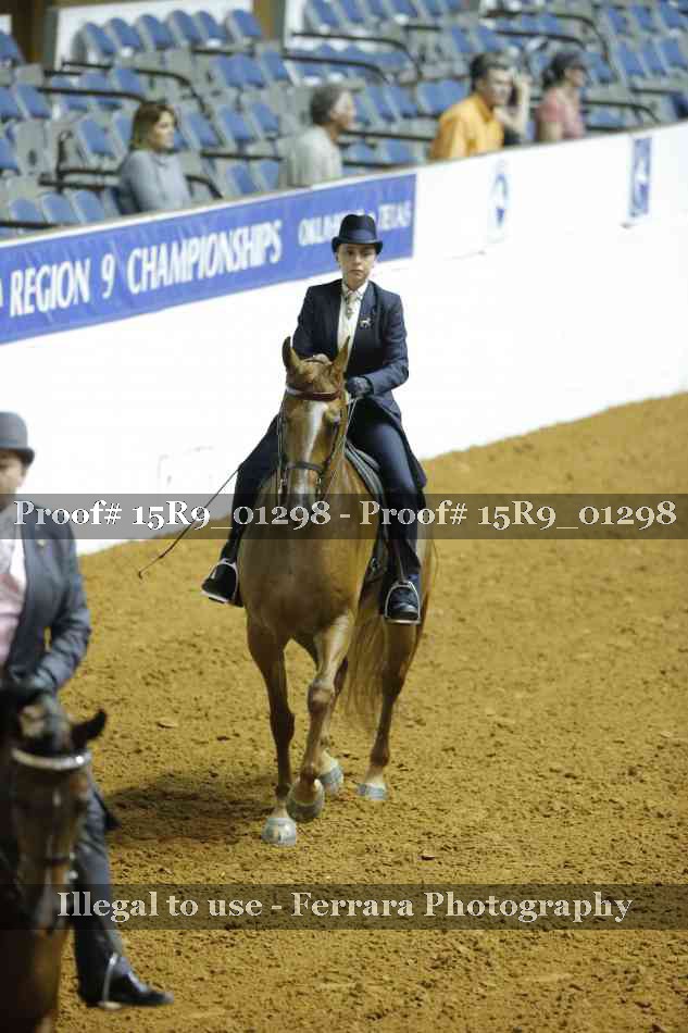 Proof Number 15R9_01298