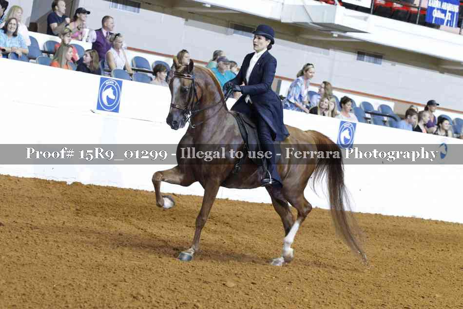 Proof Number 15R9_01299