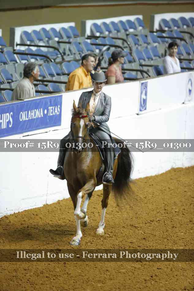 Proof Number 15R9_01300