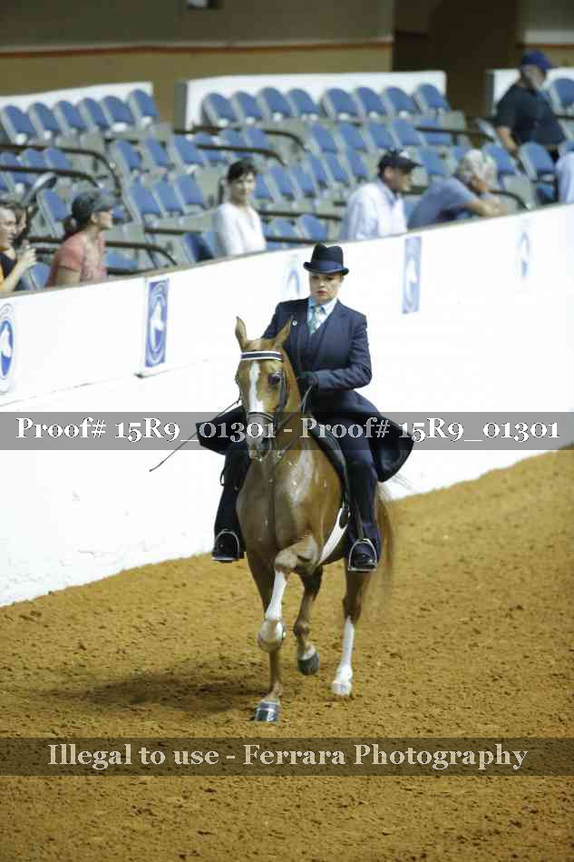 Proof Number 15R9_01301